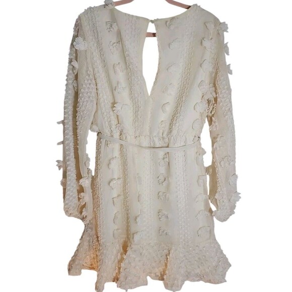 Pink Lily Long Shear Balloon Sleeves Swiss Dot Dress Beige Women Sz M Lined - Picture 3 of 11